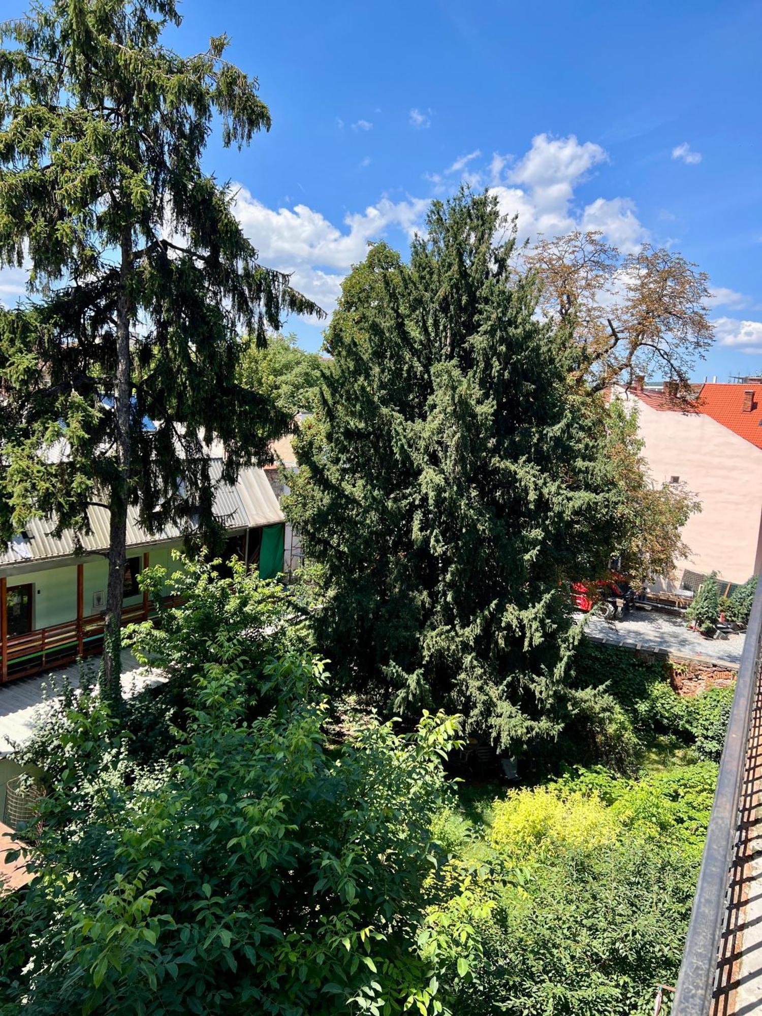 Luxury Residence In The Old Center Of Cluj Exterior photo